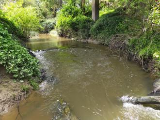 View under bridge looking north