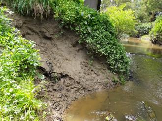 Bank erosion looking northwards