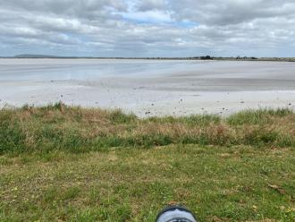 Near shore very shallow water,and sadn areas exposed; medium distance more water