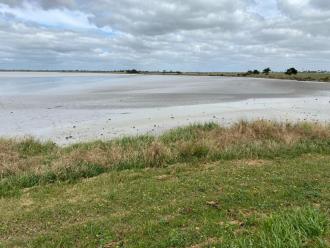 Near shore very shallow water,and sadn areas exposed; medium distance more water