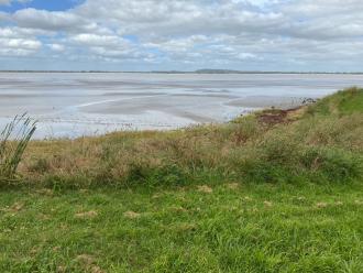 Near shore shallow water,sandy areas;more water middle distance.