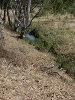 Culvert 500m north of Stewarts Lane; not flowing