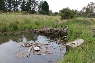 Upstream