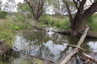 Down stream