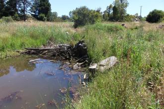 Upstream