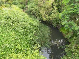 View looking north from bridge