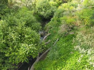 View looking south from bridge