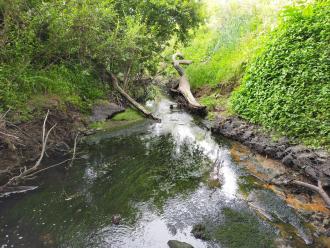 View looking south under bridge