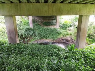 View looking east under bridge