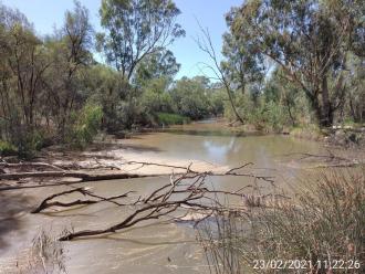 Sandilong Creek, Riverside Golf Club, Mildura, Victoria