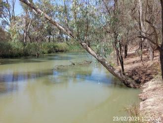 Upstream, Creek off Murray River near Riverside Golf Club, Mildura