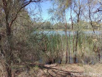 Levy Bank, Kings Billabong, Murray River, Mildura