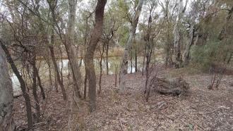 Site Photo, Off Murray River, Mildura