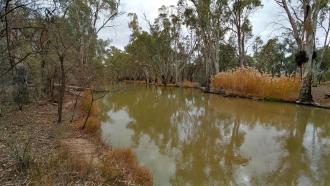 Downstream,  Off Murray River, Mildura