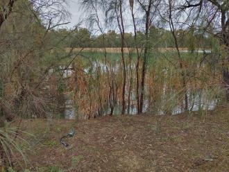 Near Levee Bank, Kings Billabong ex Murray River, Mildura