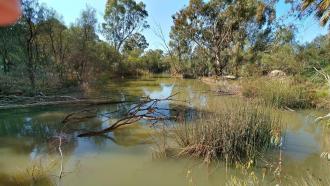 Sandilong Creek, ex Murray River, Riverside Golf Club, Mildura
