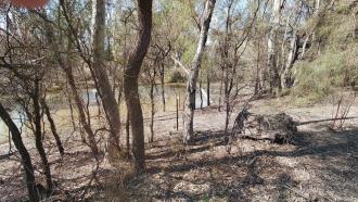Site Photo, Water Way, ex Murray River, Mildura