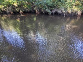 Five Mile Creek at Childrens'Park