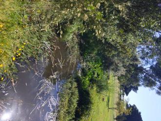 Five Mile Creek at Reserve upstream