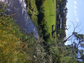 Five Mile Creek at Reserve downstream