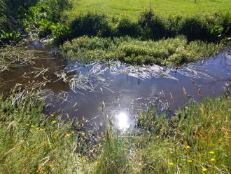 Five Mile Creek at Reserve