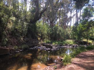 Looking downstream