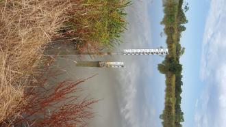 Wetland depth was much lower than normal