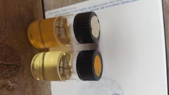 DO test blank (left) and sample (right) - gave 0 result