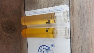 Ammonia test blank (left) and sample (right) - gave 0 result