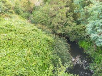 View looking north from bridge