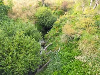 View looking south from bridge