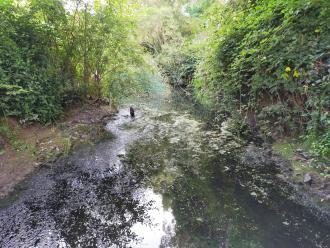 View looking north under bridge