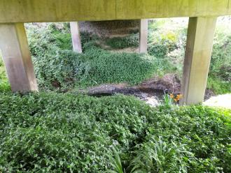 View looking east under bridge