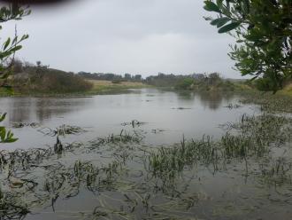 Photo taken from water sampling point