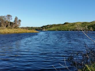 Photo taken from water sampling point