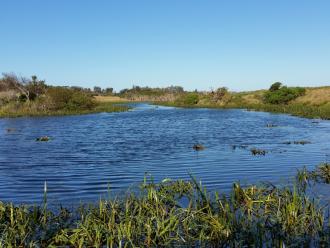 Photo taken from water sampling point