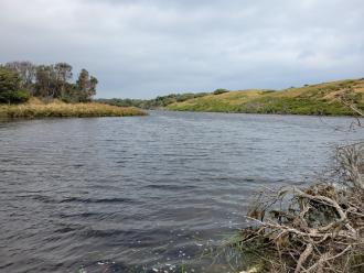 Photo taken from water sampling point