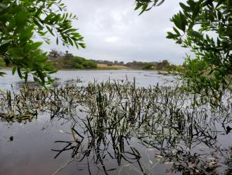 Photo taken from water sampling point