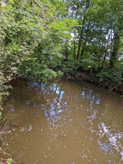 Five mile creek at children's playground upstream