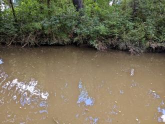 Five Mile Creek at Childrens'Park