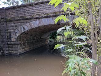 Five mile Creek at Childrens'Park downstream