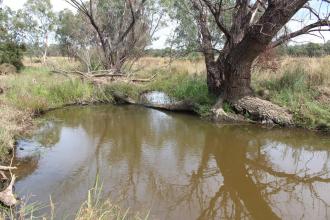 Down stream