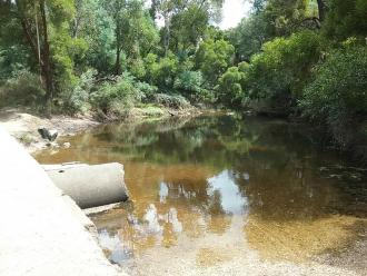 MOO 004 Looking Upstream at Ford Crossing