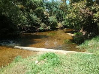 MOO 001 Looking downstream