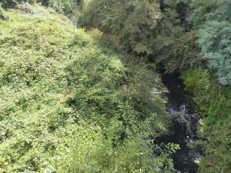 View north from bridge