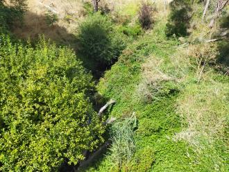 View south from bridge