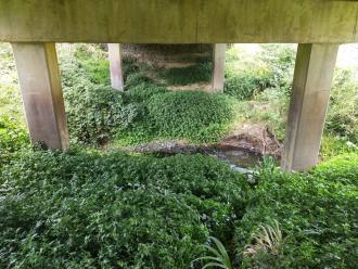 View east under bridge