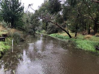 Riddells Creek at the old swimming hole