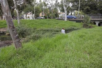 looking towards Monash Bridge