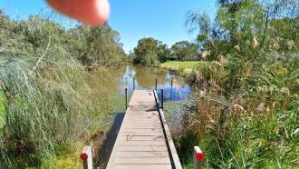 Sandilong Creek, ex Murray River, Mildura